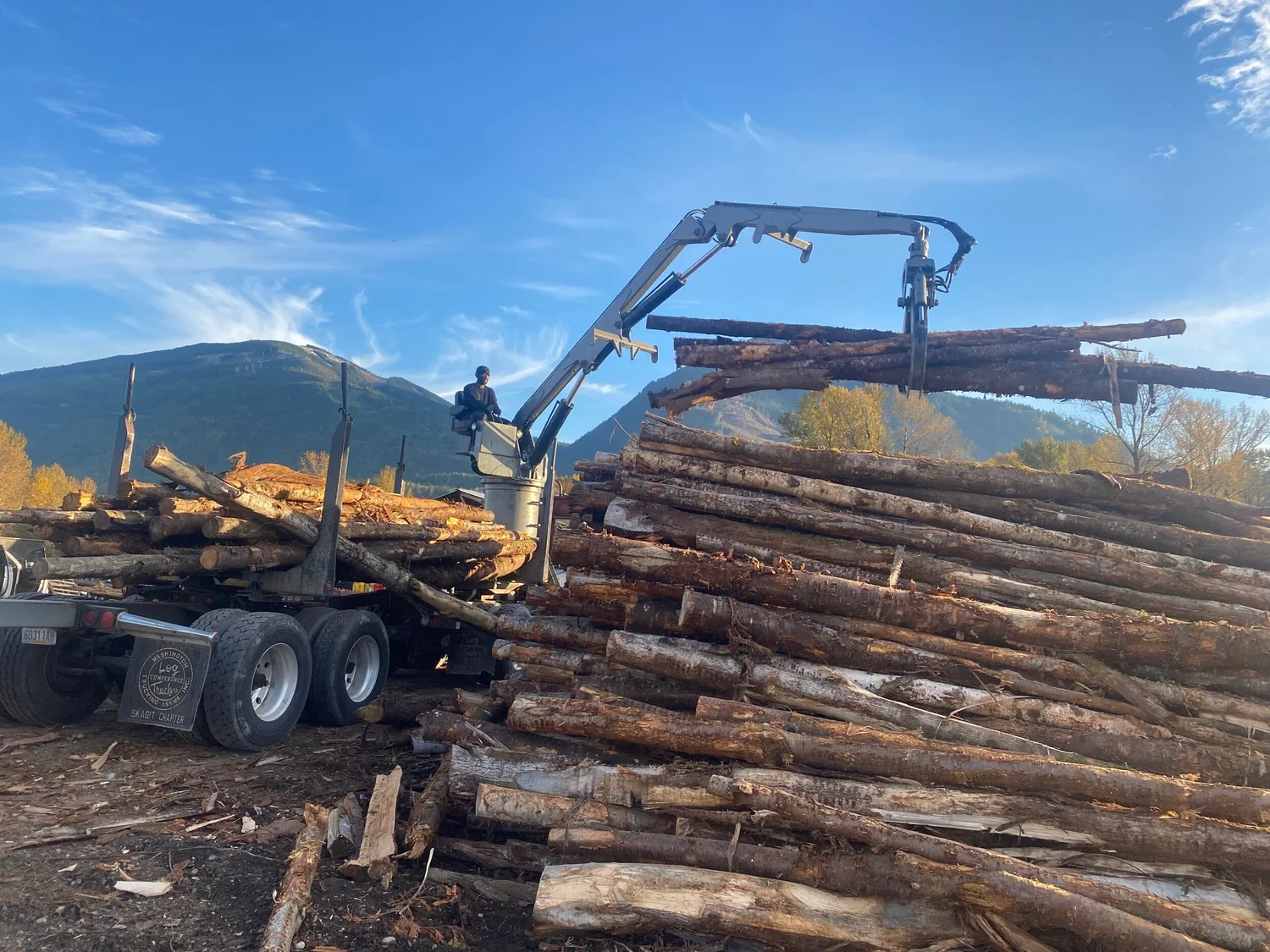 Chargement de grumes